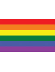 Regenboogvlag