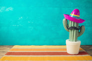Mexico Party