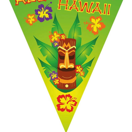 Vlaggenlijn Aloha Hawaii 5mtr
