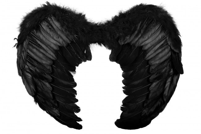 Zwarte veren vleugels