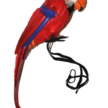 Papegaai decoratief rood