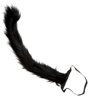 Kattenstaart