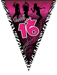 16 jaar - Sweet 16