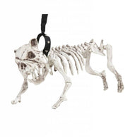 Skelet hond