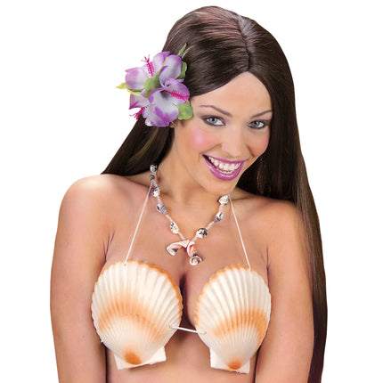 Collection image for: Schelpen Beha