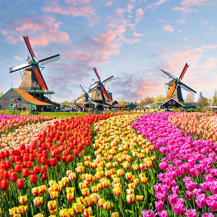 Collection image for: Hollandse avond