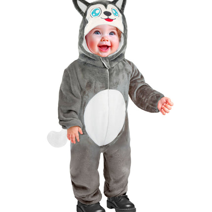 Husky pak pluche fluweel hond — foto 3