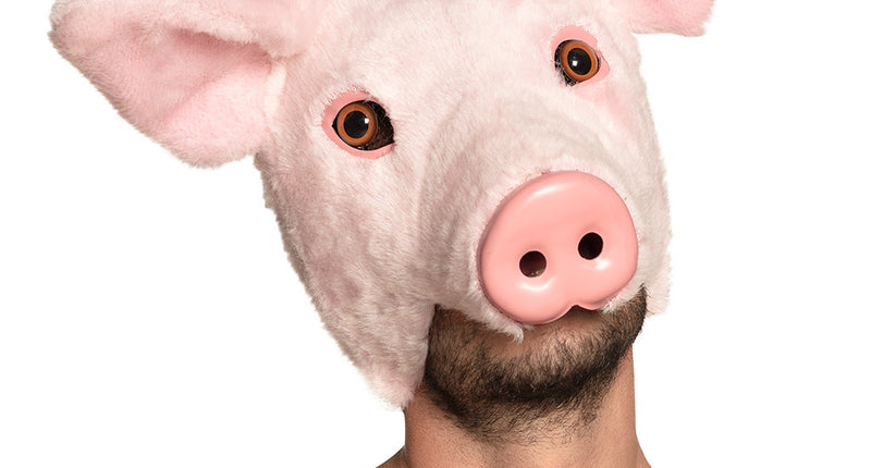 Pluchen halfmasker Varken