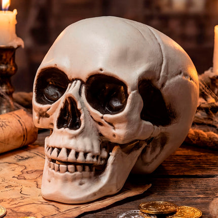 Schedel met beweegbare kaak sfeerbeeld – decoratie