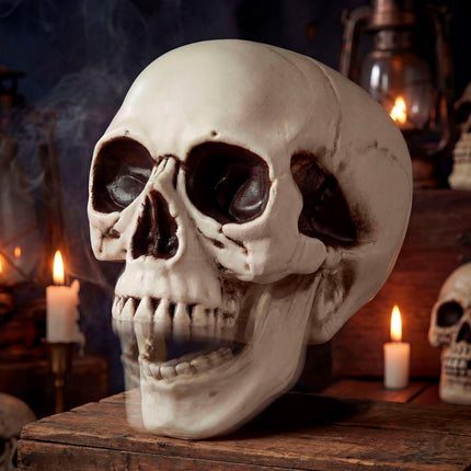 Schedel met beweegbare kaak totaalbeeld – decoratie