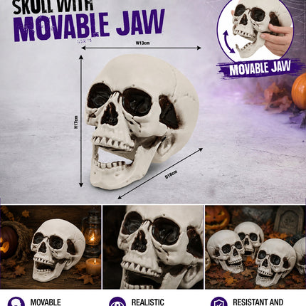 Schedel met beweegbare kaak styling – decoratie