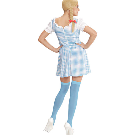 Dirndl jurkje Erika van achteren met rits op de rug en geruite klokrok