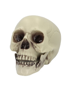 Schedel Whisperbone Halloween decoratie 15 cm