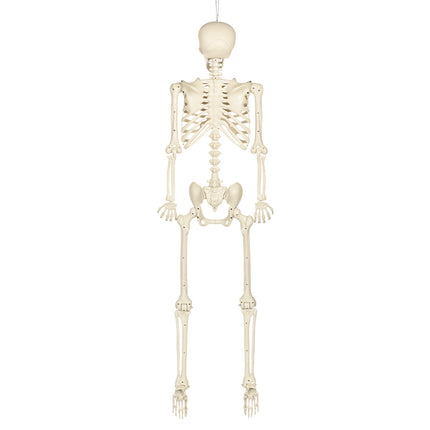 Hangdecoratie Skelet skinny wit close-up