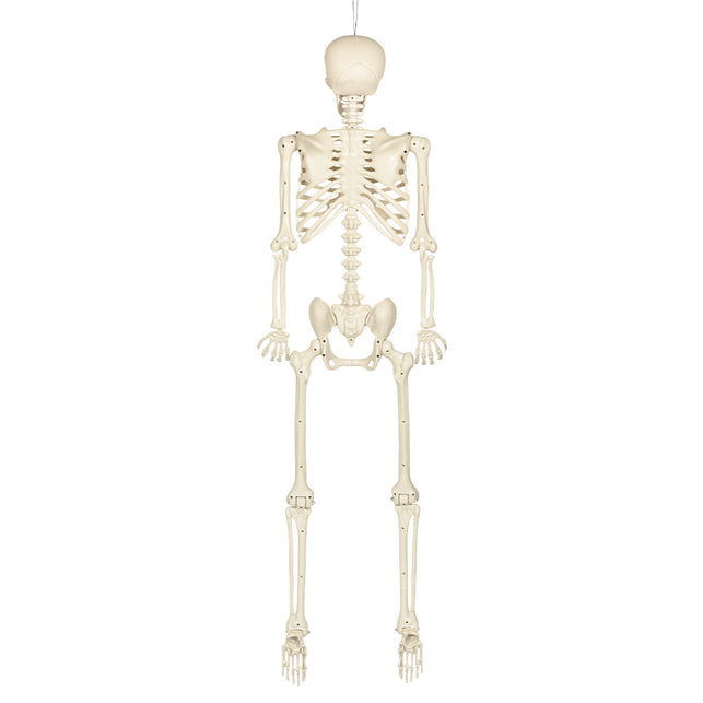 Hangdecoratie Skelet skinny wit close-up