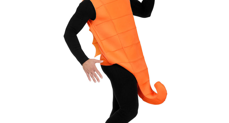 Zeepaardje pak unisex met masker, schattig zeedier kostuum volwassenen vooraanzicht