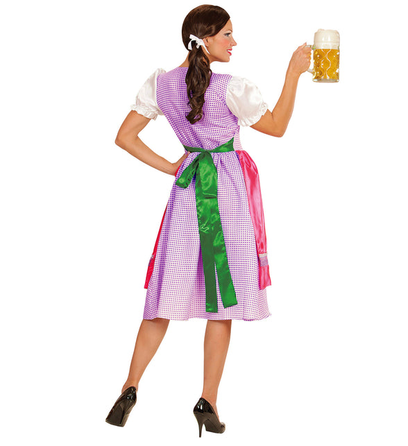 Achterkant dirndl jurk roze groen met geruite rok en groene schortlinten op de rug geknoopt
