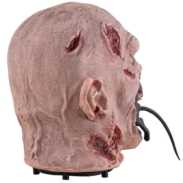 Achterkant van het zombiehoofd animatronic met verweerde bleke huid en oorwonden
