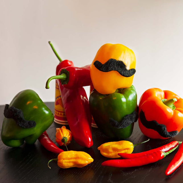 Boland 5 Snorren Mexico