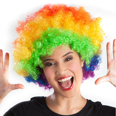 Boland Clown pruik afro krullen Groove regenboog