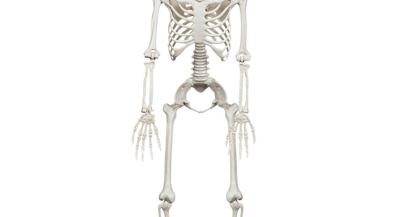 Boland Decoratie Beweegbaar skelet 91cm