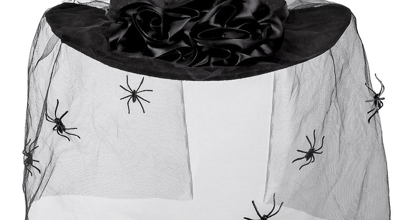 Boland Hoed Spider widow