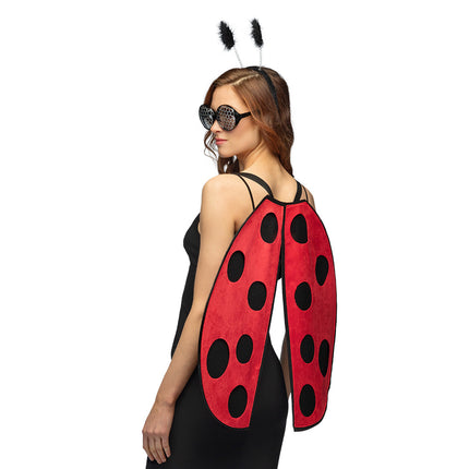 Boland Lieveheerbeestje verkleed set