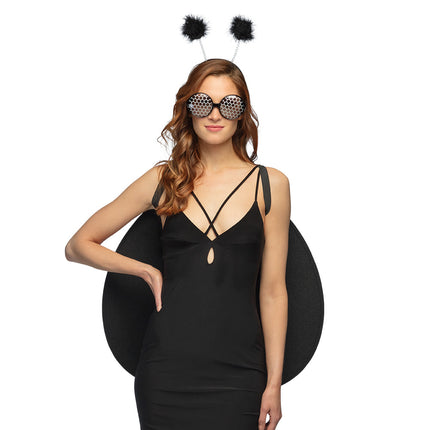 Boland Lieveheerbeestje verkleed set