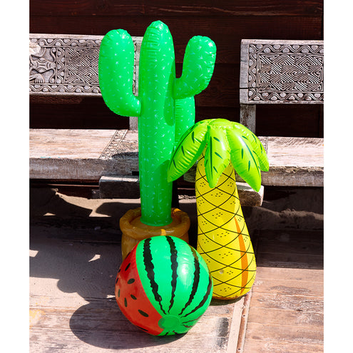 Boland Opblaasbare cactus