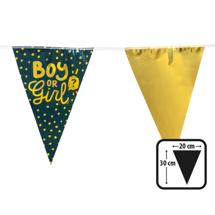 Boland PE vlaggenlijn 'Boy or girl?'