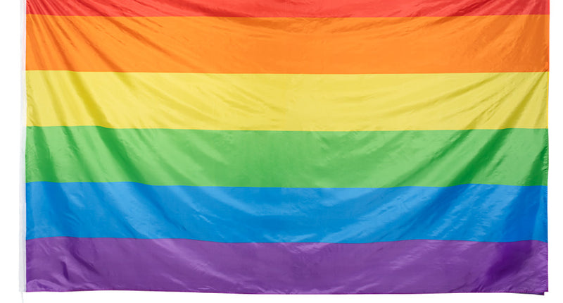 Boland Polyester reuzenvlag Regenboog
