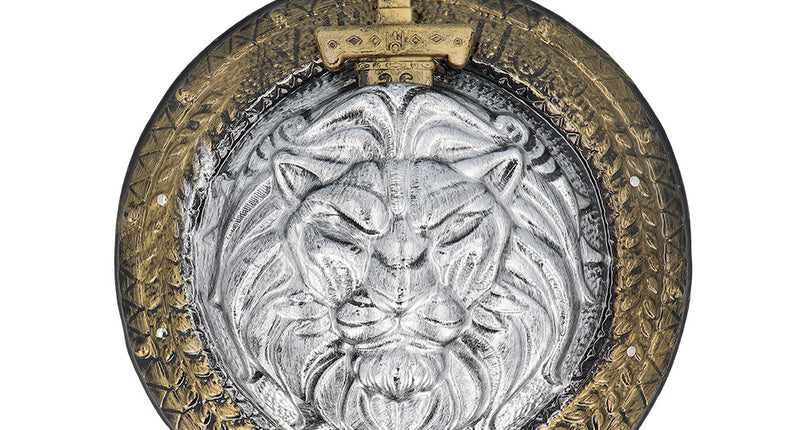 Boland Ridder schild met zwaard set