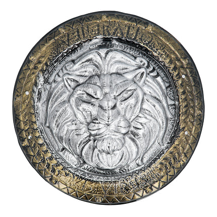 Boland Ridder schild met zwaard set