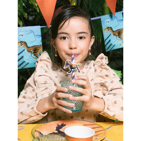 Boland Set 4 papieren feestzakjes T-rex