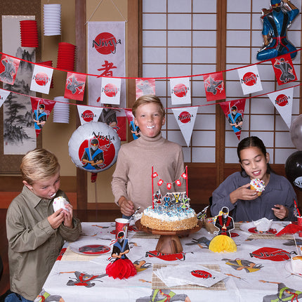 Boland Set 4 stickervellen 'Ninja'