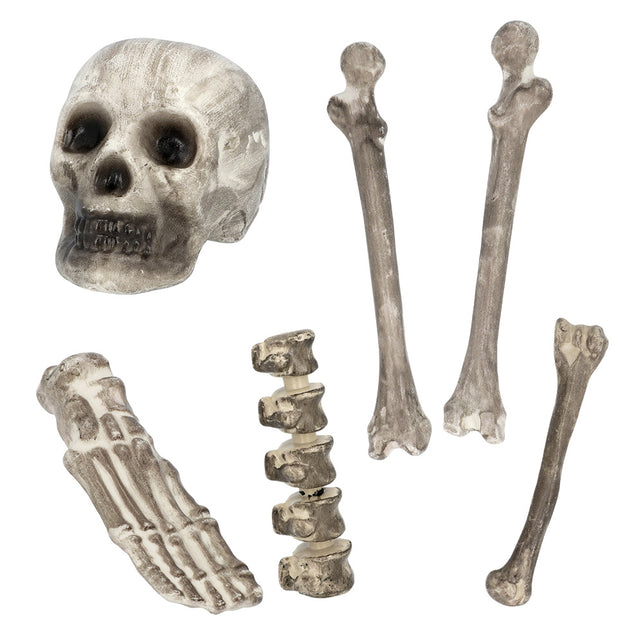 Boland Set 6 Schedel & beenderen