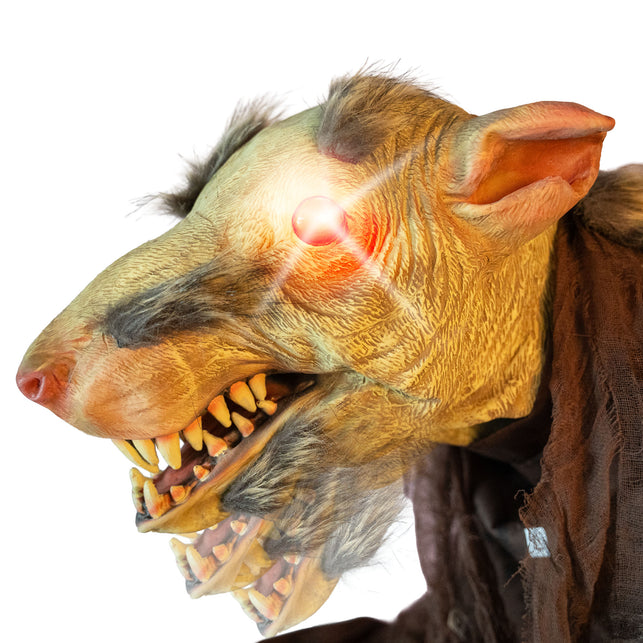 Close-up van het rood oplichtende oog van de gemuteerde rat animatronic