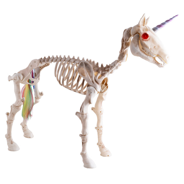 Eenhoorn skelet staand, botkleurig paardenskelet met paarse hoorn, rode oogkas en regenboogstaart voor Halloween