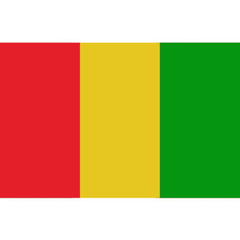 Funny Fashion XL Vlag rood geel groen 436x350cm