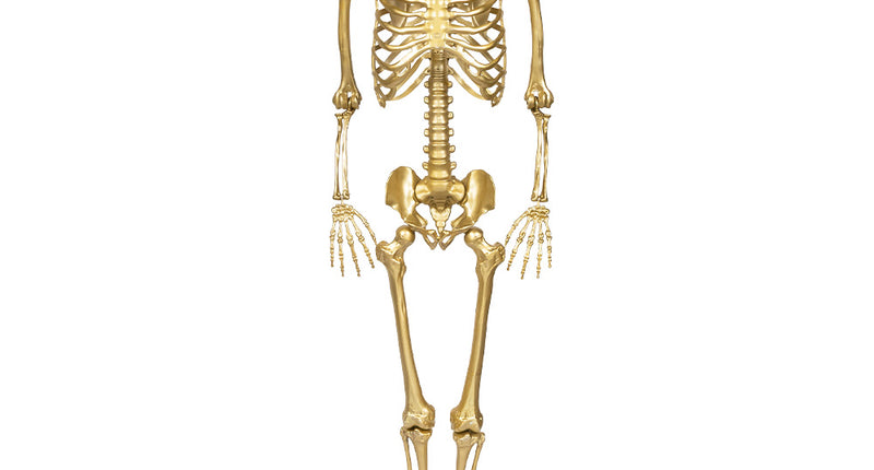 Hangdecoratie skelet goud XL met zwarte oogkassen en uitgewerkte ribbenkast, vooraanzicht voor Halloween