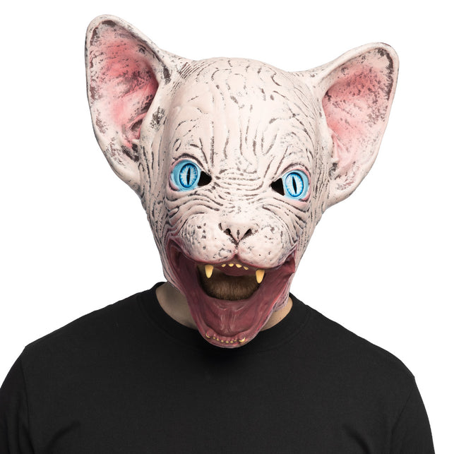 Latex hoofdmasker Horror cat gedragen, kale kattenkop met blauwe ogen en open bek voor Halloween