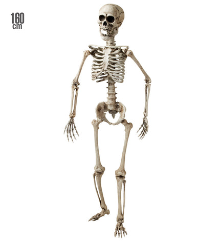 Nep skelet van 160 cm met vergeelde botten en gebarsten schedel als halloweendecoratie