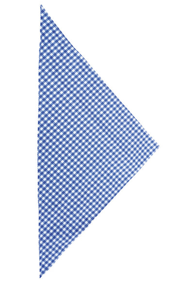 Oktoberfest sjaaltje blauw/wit, driehoekige halsdoek met fijn blauw-wit ruitpatroon