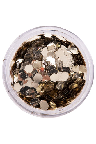 PXP Professional Colours PXP biologisch afbreekbare grove glitter Dutch Siver 2,5 gram