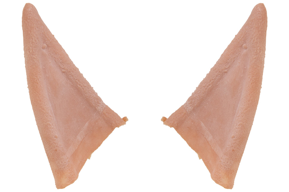 PXP Professional Colours PXP Latex elfenoren extra lang