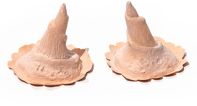 PXP Professional Colours PXP Latex gebogen hoorn groot