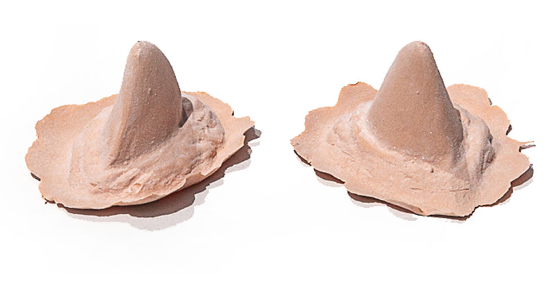 PXP Professional Colours PXP Latex mini hoorn