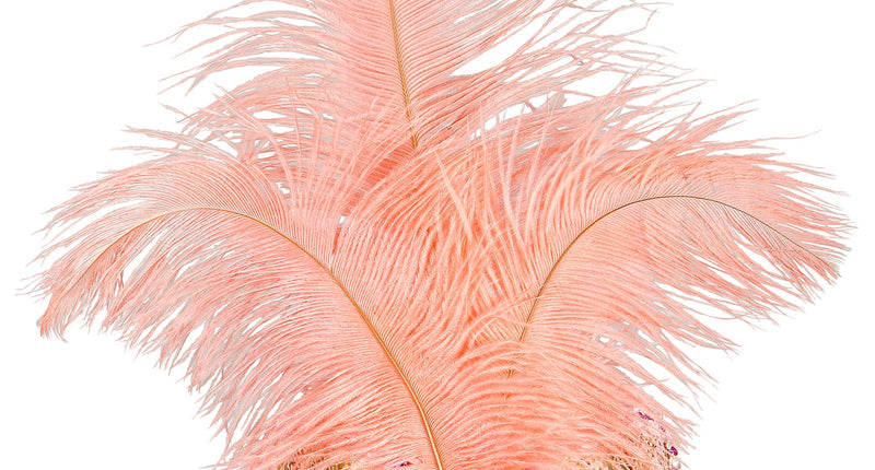 Widmann SRL Abrikoos kleurige oogmaskers