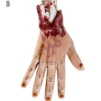 Widmann SRL Afgehakte hand van een mens