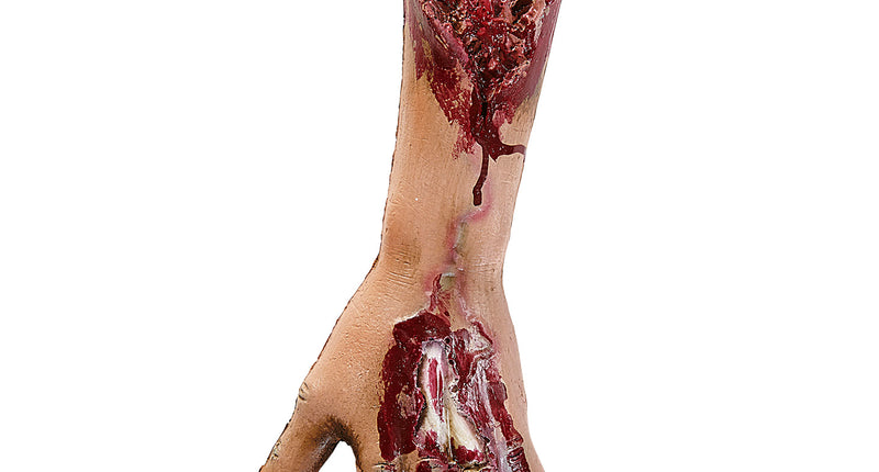 Widmann SRL Afgehakte onderarm met bloed